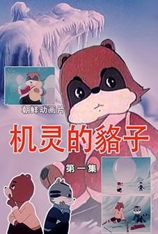 机灵的貉子