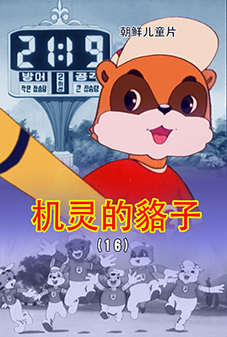 机灵的貉子(16)