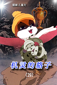 机灵的貉子(29)