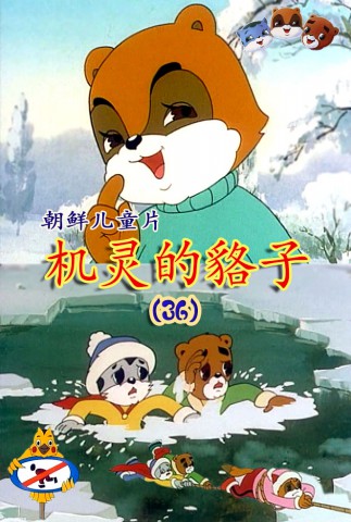 机灵的貉子(36)