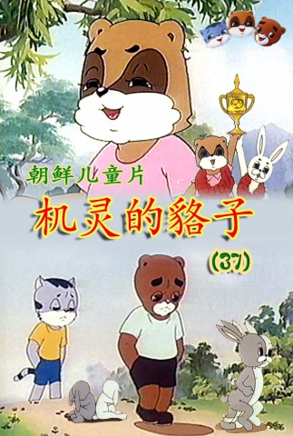 机灵的貉子(37)