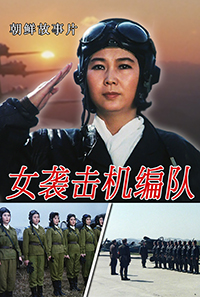 女袭击机编队