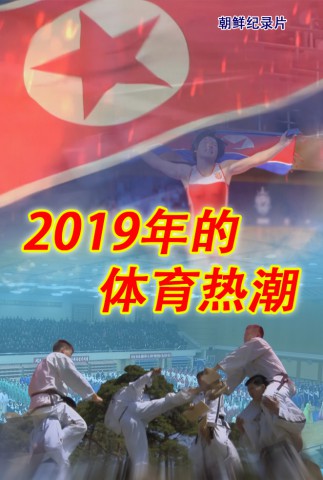 2019年的体育热潮