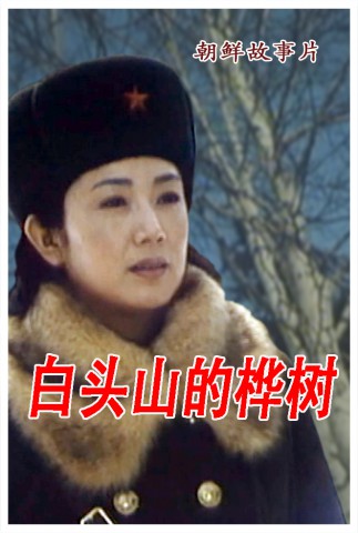 白头山的桦树