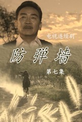 防弹墙(7)