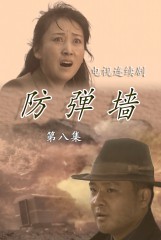 防弹墙(8)