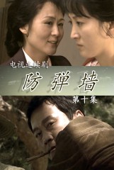 防弹墙(10)