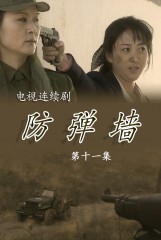 防弹墙(11)