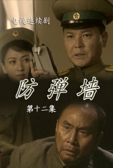 防弹墙(12)
