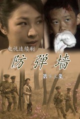 防弹墙(13)