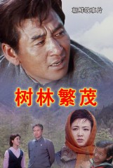 树林繁茂