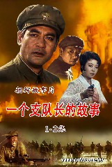 一个支队长的故事