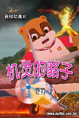 机灵的貉子(77)