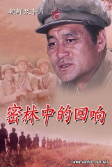 密林中的回响