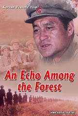 An Echo Among the Forest